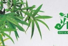日常生活：端午节的主要风俗有哪些