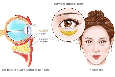 http://img.toumeiw.cn/upload/images/20210915/edc5fd8859991c443adbed55fb940bee.jpg
