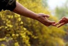日常生活：执子之手与子偕老是什么意思
