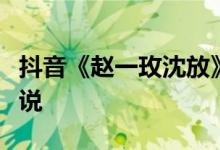 抖音《赵一玫沈放》《赵一玫沈放赵知瑶》小说