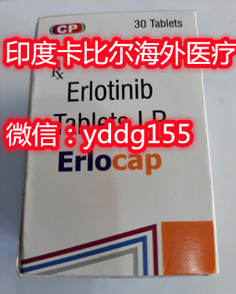 特罗凯1.0.jpg