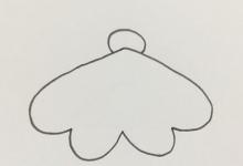 蛾的简单绘图