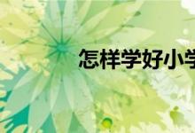 怎样学好小学语文基础知识？