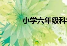 小学六年级科学如何做教学计划