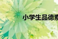 小学生品德素养记录表怎么填