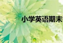 小学英语期末考试如何规划复习