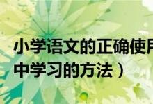 小学语文的正确使用方法（小学语文上册电脑中学习的方法）