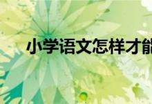 小学语文怎样才能为以后学习打好基础