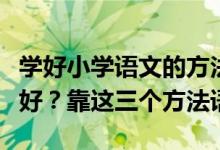 学好小学语文的方法和技巧（小学语文怎么学好？靠这三个方法语文不用愁！）
