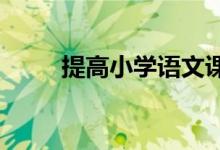 提高小学语文课堂教学效率之我见