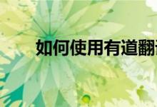 如何使用有道翻译批改小学英语作文