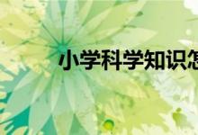 小学科学知识怎样开展自主学习？