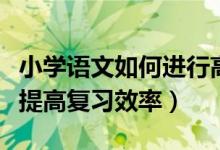 小学语文如何进行高效的复习（小学语文如何提高复习效率）