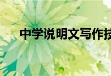 中学说明文写作技巧、说明方法效果词