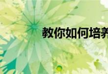 教你如何培养孩子良好的品德