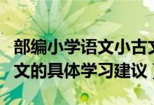 部编小学语文小古文培训心得（小学语文小古文的具体学习建议）
