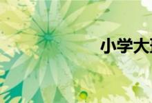 小学大班化的危害