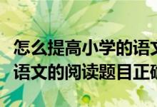 怎么提高小学的语文阅读理解（怎么提高小学语文的阅读题目正确率）