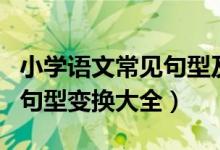 小学语文常见句型及例句（小学语文中常见的句型变换大全）