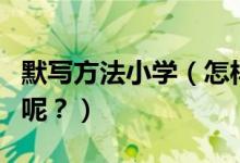 默写方法小学（怎样进行小学语文的字词默写呢？）