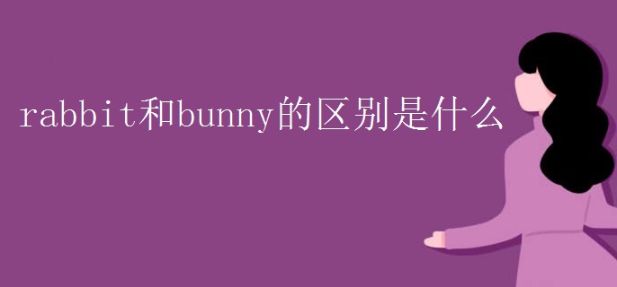 rabbit和bunny的区别是什么.jpg