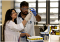 坎特伯雷大学开设首个国际认可的 BSc 生物学专业