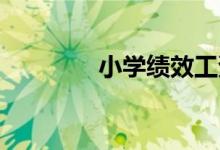 小学绩效工资发放实施细则