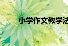 小学作文教学法——注重生活积累