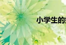 小学生的姓名卡怎么做