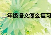 二年级语文怎么复习（二年级语文怎么复习）