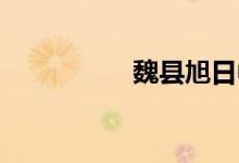 魏县旭日中学怎么报名