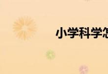 小学科学怎么提高成绩？