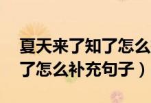 夏天来了知了怎么把句子补充完整（夏天,知了怎么补充句子）