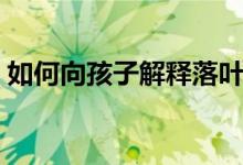 如何向孩子解释落叶（落叶怎样对小伙伴说）