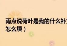 雨点说荷叶是我的什么补充句子（小荷花说荷叶是我的什么怎么填）