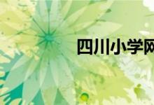 四川小学网络课程怎么看