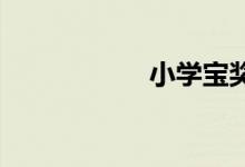 小学宝奖学金怎么用
