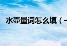 水壶量词怎么填（一什么水壶量词怎么填）