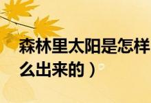 森林里太阳是怎样出来的（森林里,太阳是怎么出来的）