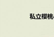 私立樱桃小学公园攻略