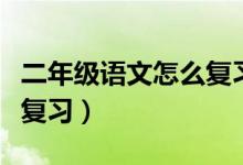 二年级语文怎么复习人教版（二年级语文怎么复习）