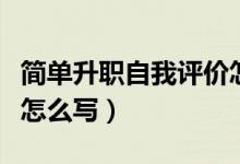 简单升职自我评价怎么写（教你升职自我评价怎么写）