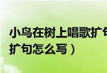 小鸟在树上唱歌扩句怎么扩（小鸟在树上唱歌扩句怎么写）
