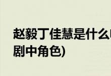 赵毅丁佳慧是什么电视(赵毅丁佳慧哪部电视剧中角色)