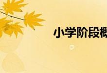 小学阶段概括段意的方法