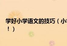 学好小学语文的技巧（小学语文学习有技巧！不再慌张考试！）