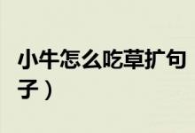 小牛怎么吃草扩句（小牛怎么吃着青草补充句子）