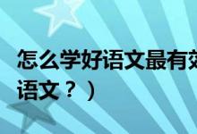 怎么学好语文最有效的方法（如何有效的学好语文？）