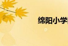 绵阳小学网上怎么报名