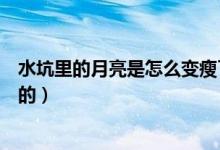 水坑里的月亮是怎么变瘦了的呢（水坑里的月亮是怎么变瘦的）
